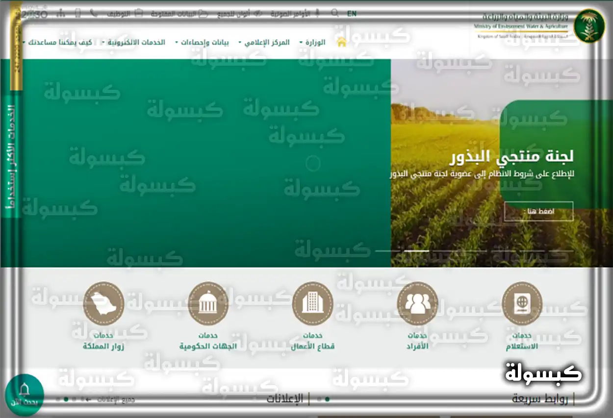 شروط دعم المواشي في السعودية مربي مواشي سعودي يستفيد من الدعم الحكومي