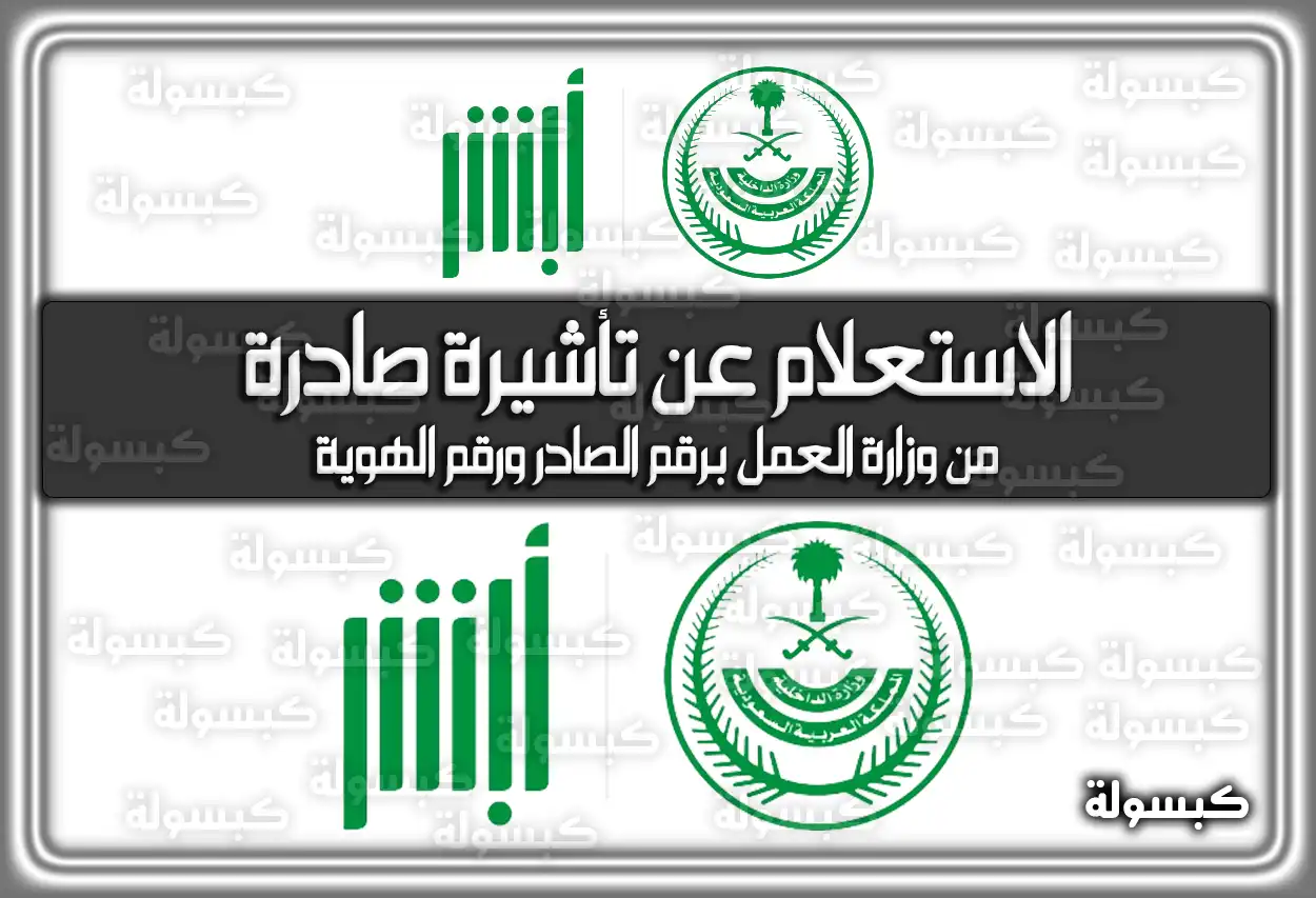 الاستعلام عن تأشيرة صادرة من وزارة العمل برقم الصادر ورقم الهوية السعودية رابط مباشر 