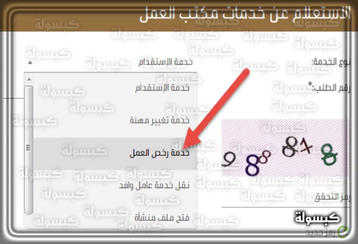 شاشة توضح خدمات وزارة الموارد البشرية والتنمية الاجتماعية السعودية