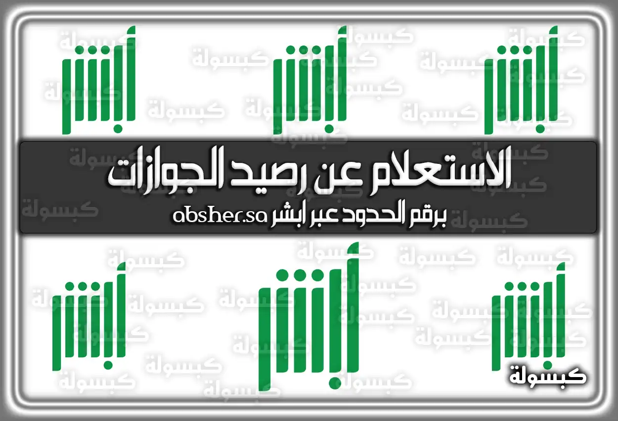 الاستعلام عن رصيد الجوازات برقم الحدود عبر ابشر absher.sa