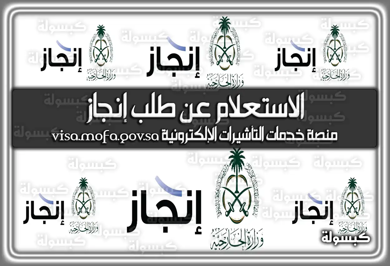 الاستعلام عن طلب إنجاز منصة خدمات التأشيرات الإلكترونية