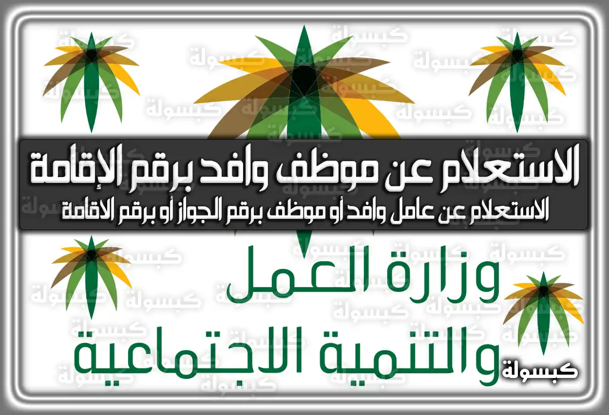 الاستعلام عن موظف وافد برقم الإقامة وَ رقم الجواز بالتفصيل eservices.mlsd.gov.sa السعودية 