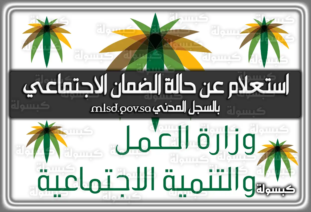 رابط استعلام عن حالة الضمان الاجتماعي بالسجل المدني mlsd.gov.sa .. حالات سقوط الضمان