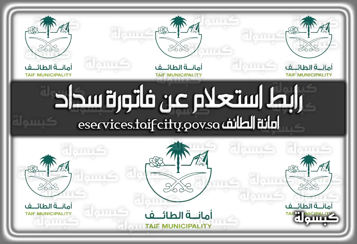 رابط استعلام عن فاتورة سداد امانة الطائف eservices.taifcity.gov.sa