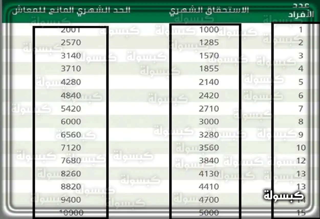الاستعلام عن رقم الضمان الاجتماعي