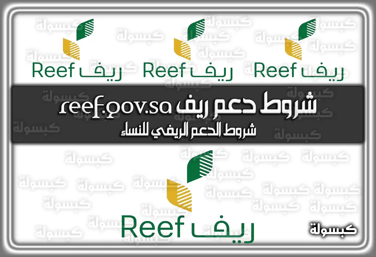 شروط دعم ريف .. شروط الدعم الريفي للنساء