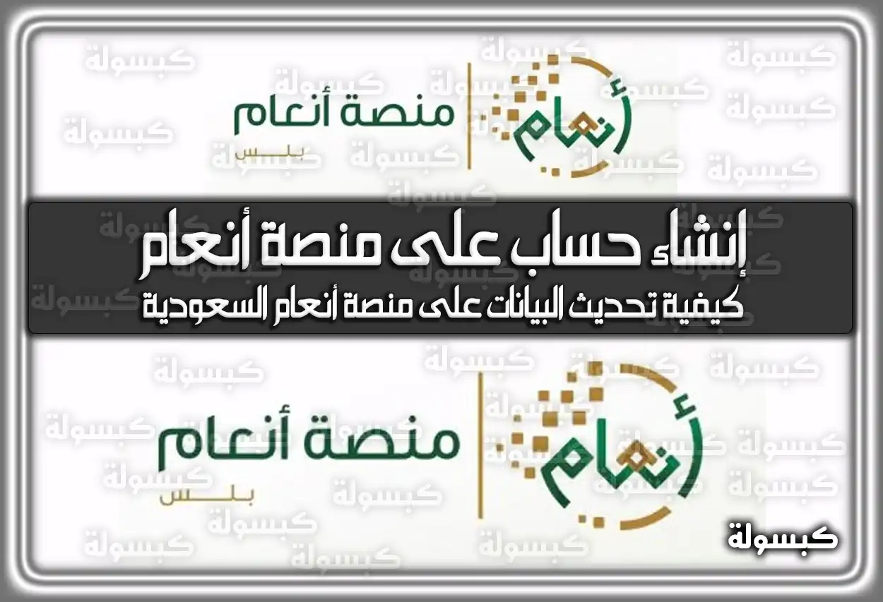 طريقة إنشاء حساب على منصة أنعام السعودية