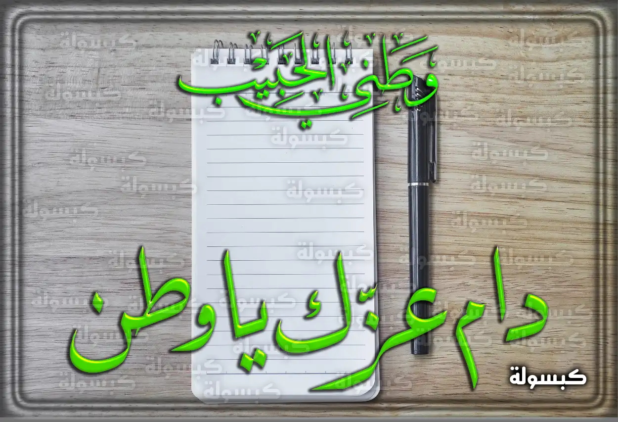 احتفالات اليوم الوطني السعودي ورفع العلم السعودي