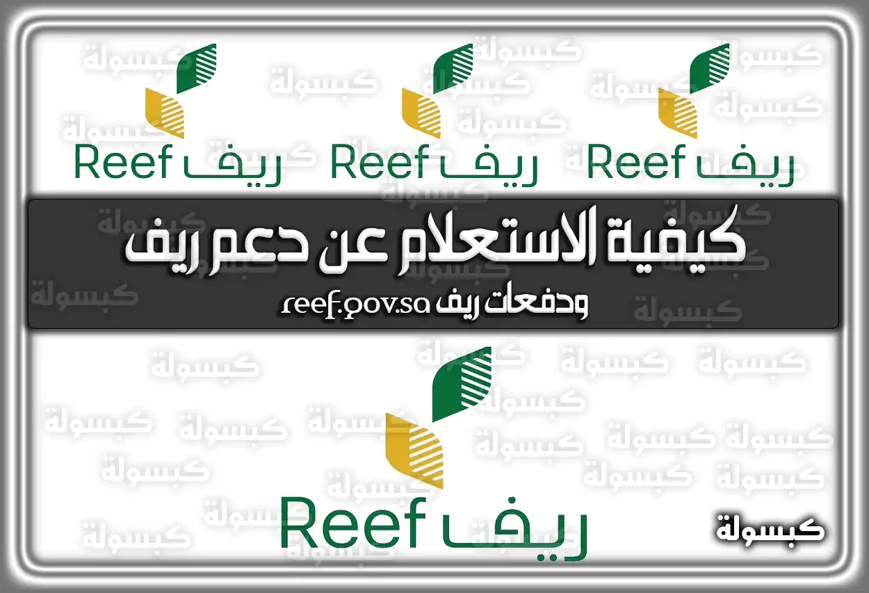 كيفية الاستعلام عن دعم ريف .. ودفعات ريف