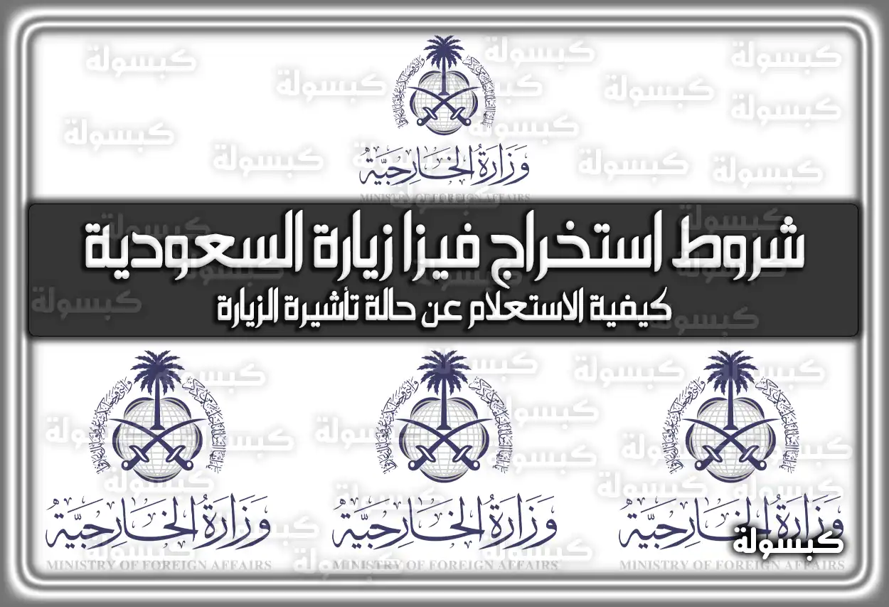 هُنا شروط استخراج فيزا زيارة السعودية .. كيفية الاستعلام عن حالة تأشيرة الزيارة