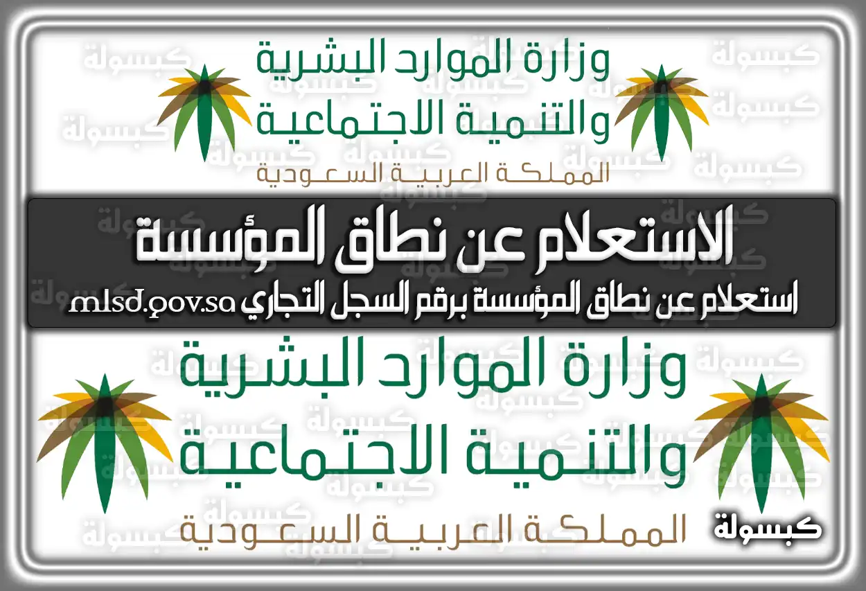 وزارة العمل الاستعلام عن نطاق المؤسسة برقم الإقامة بالخطوات