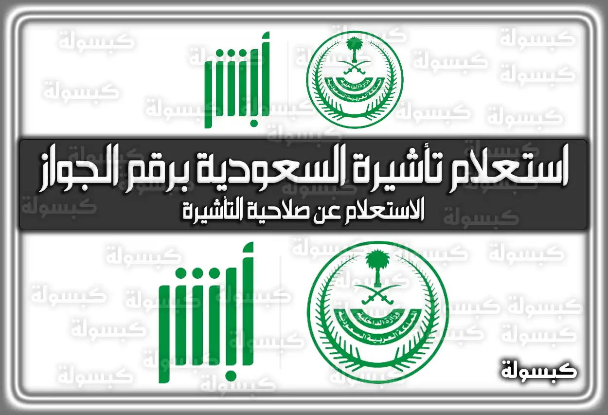 رابط الاستعلام عن تأشيرة السعودية برقم الجواز .. الاستعلام عن صلاحية التأشيرة