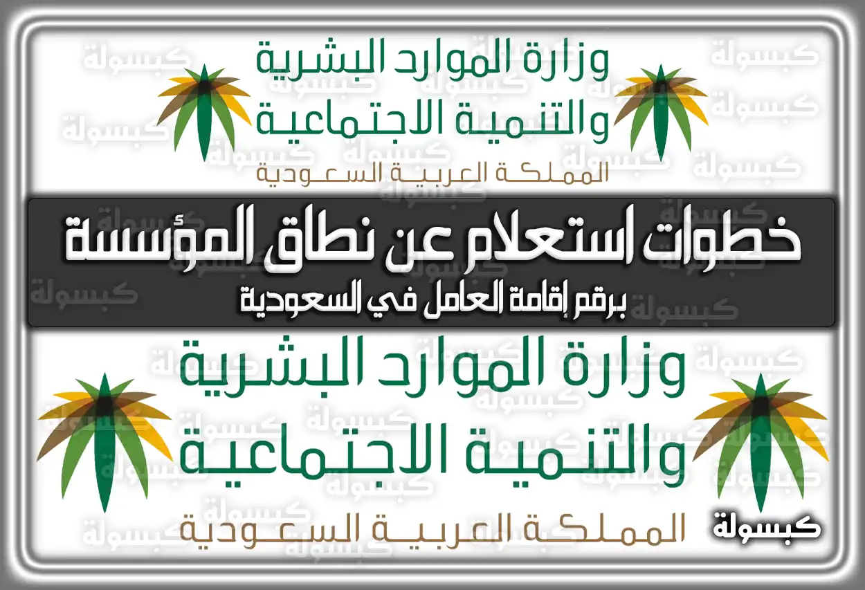 خطوات استعلام عن نطاق المؤسسة برقم إقامة العامل في السعودية