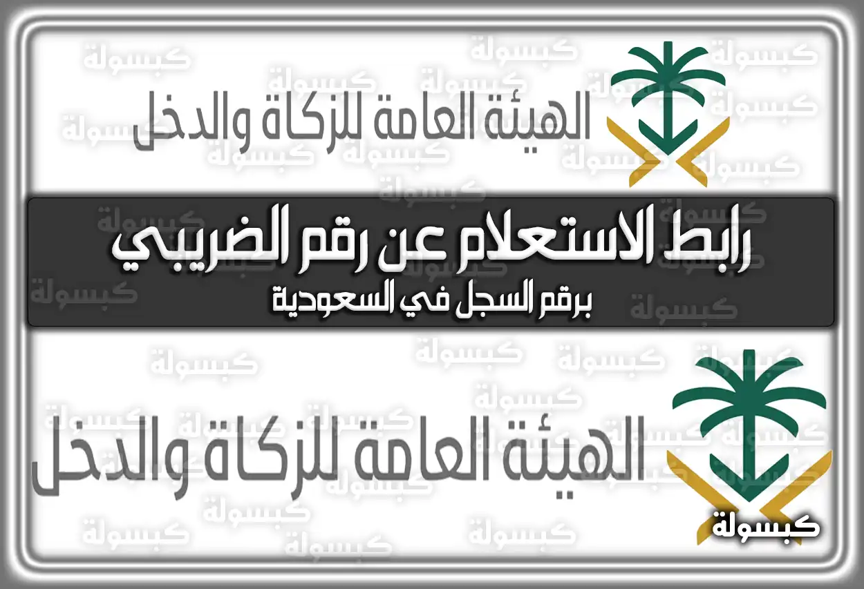 رابط الاستعلام عن رقم الضريبي برقم السجل في السعودية