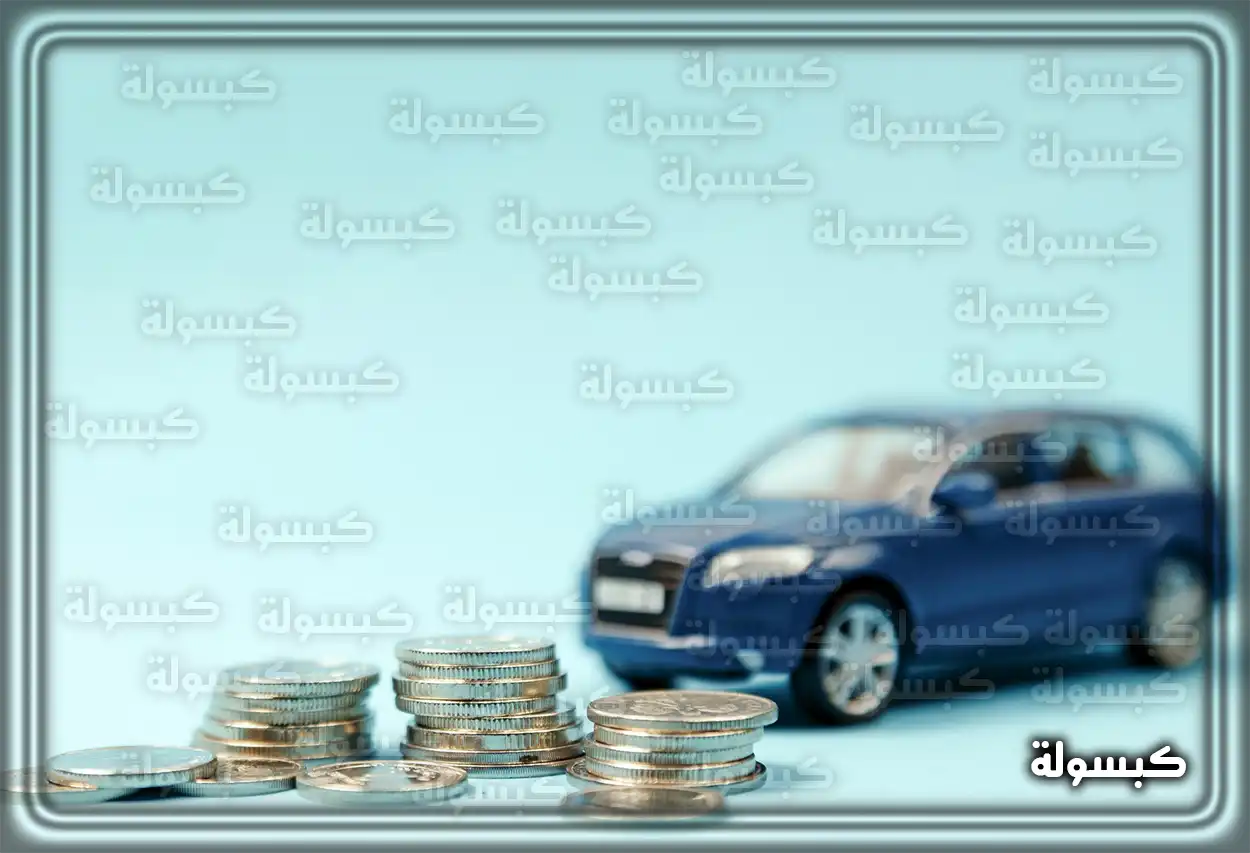 شخص يقوم بتعبئة طلب تمويل إلكتروني على جهاز لابتوب