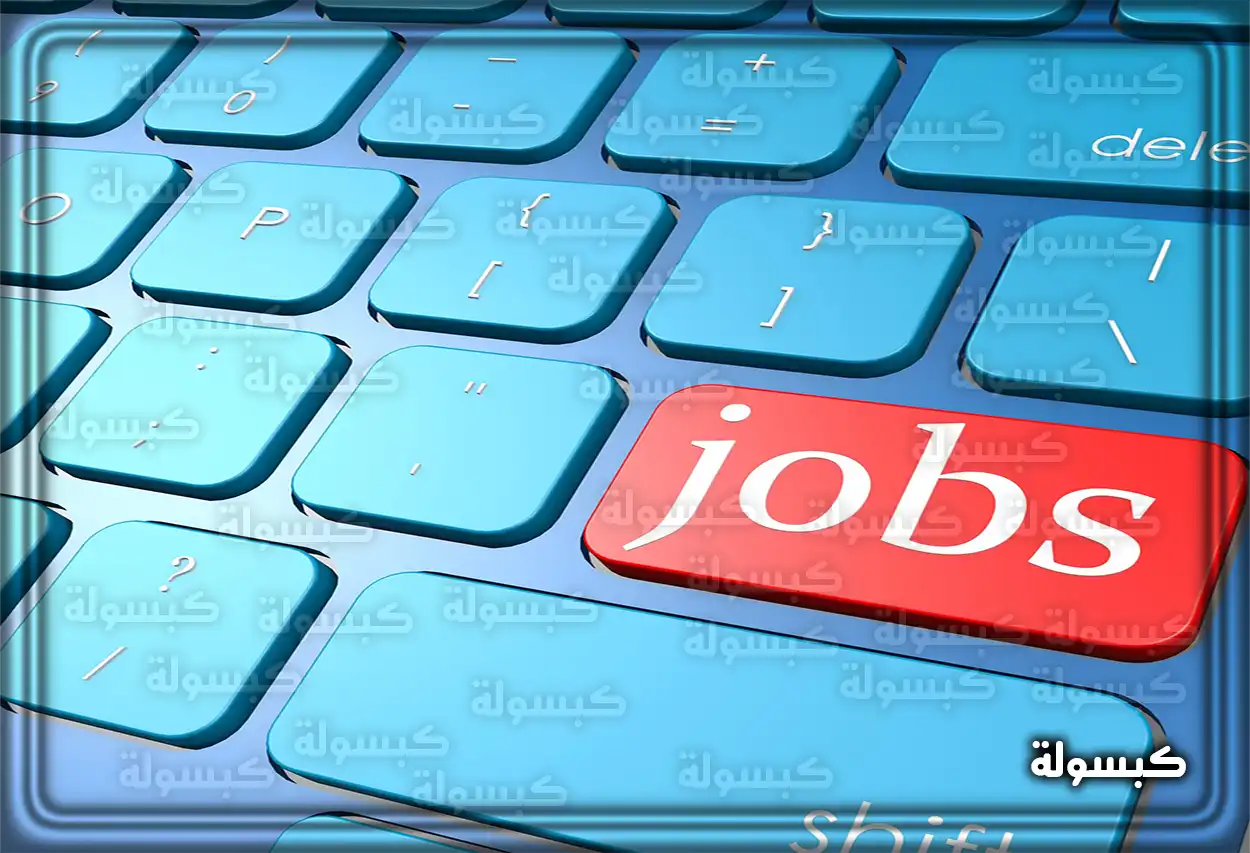 واجهة منصة جدارة للتقديم على الوظائف الحكومية