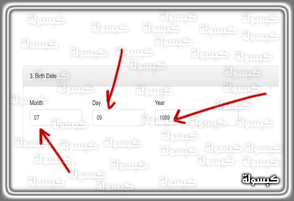 تعبئة مدينة ودولة الميلاد