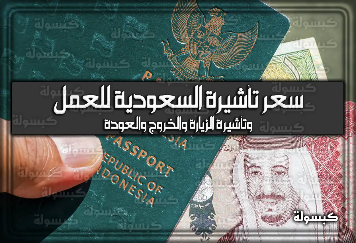 سعر تأشيرة السعودية للعمل وتأشيرة الزيارة والخروج والعودة