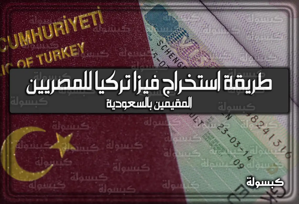 طريقة استخراج فيزا تركيا للمصريين المقيمين بالسعودية