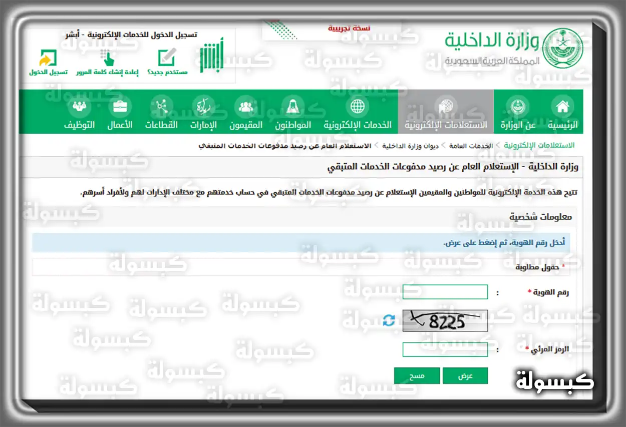 خطوات الاستعلام عن رصيد المدفوعات عبر موقع وزارة الموارد البشرية