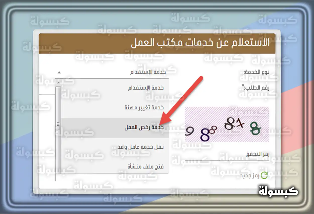 شرح الاستعلام عن رسوم الإقامة ورخصة العمل
