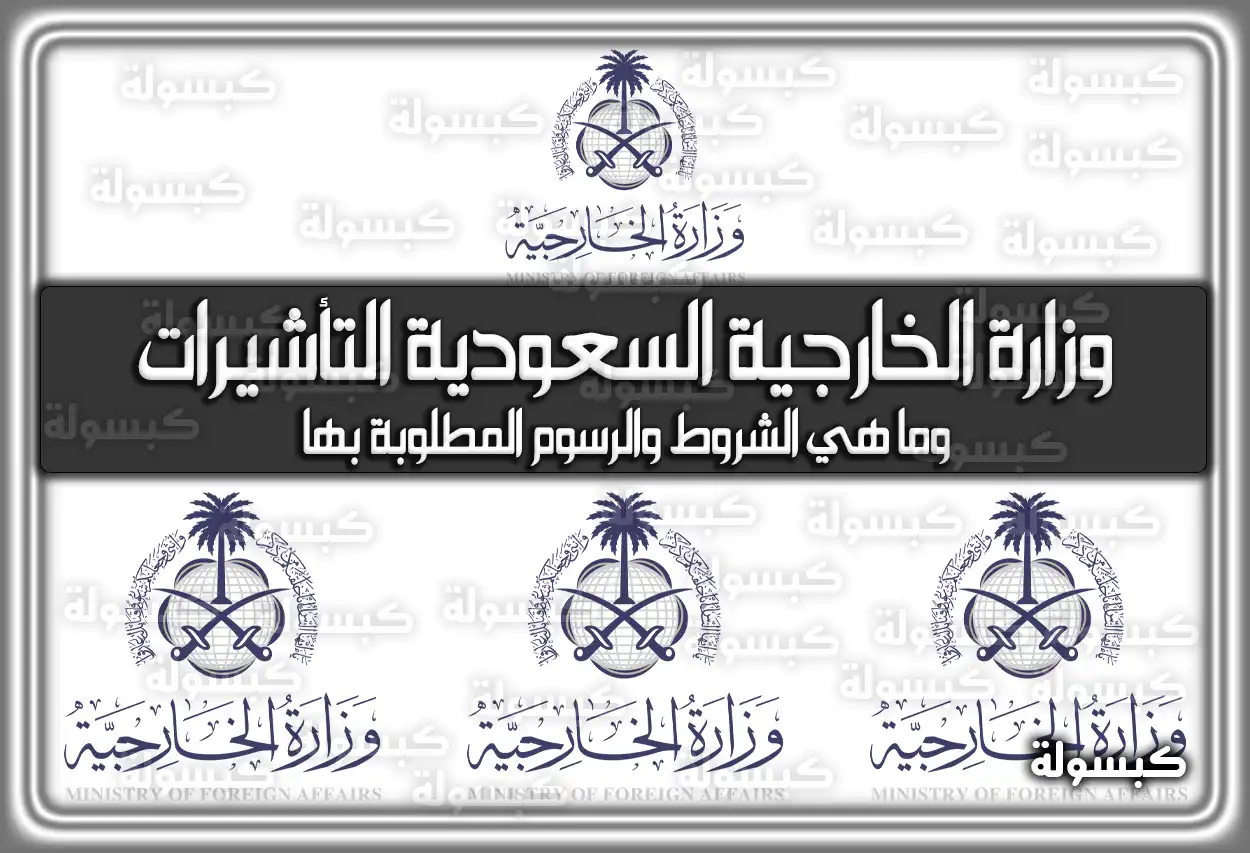 وزارة الخارجية السعودية التأشيرات وما هي الشروط والرسوم المطلوبة بها