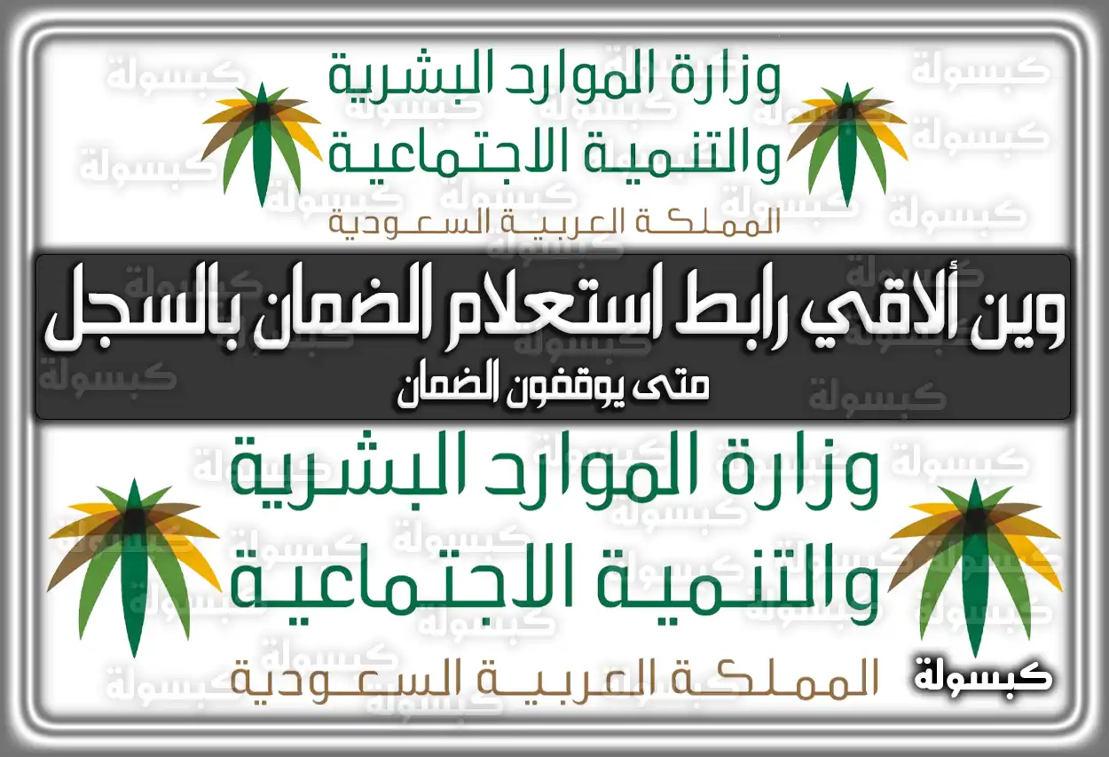 وين ألاقي رابط استعلام الضمان بالسجل على mlsd.gov.sa .. متى يوقفون الضمان