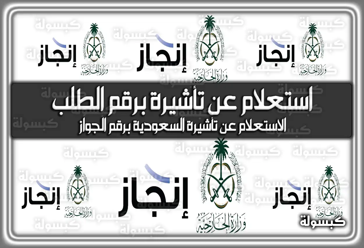 إنجاز استعلام عن تأشيرة برقم الطلب السعودية
