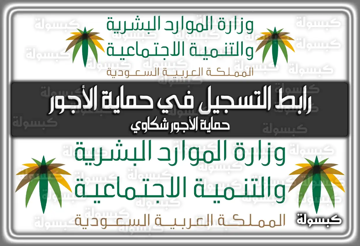 رابط التسجيل في حماية الأجور.. حماية الأجور شكاوي my.gov.sa