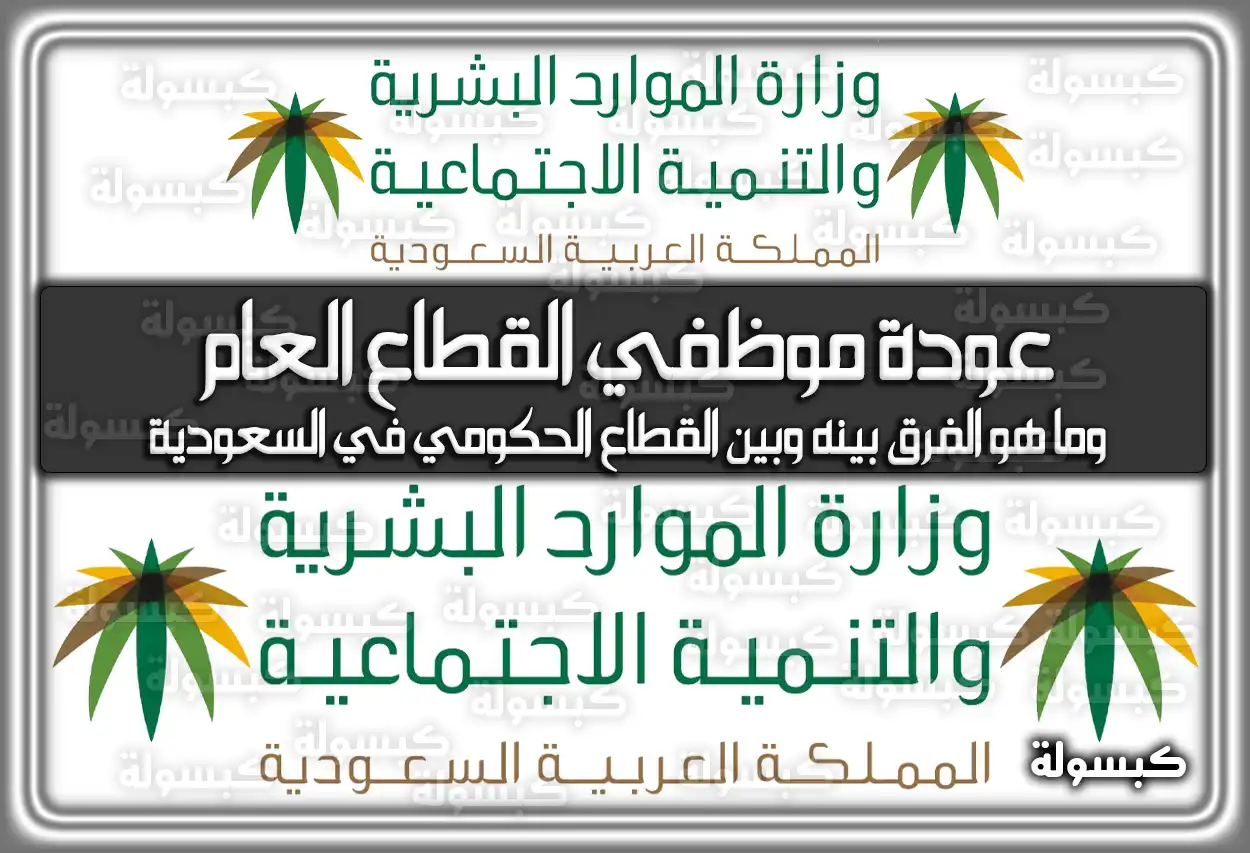 عودة موظفي القطاع العام وما هو الفرق بينه وبين القطاع الحكومي في السعودية