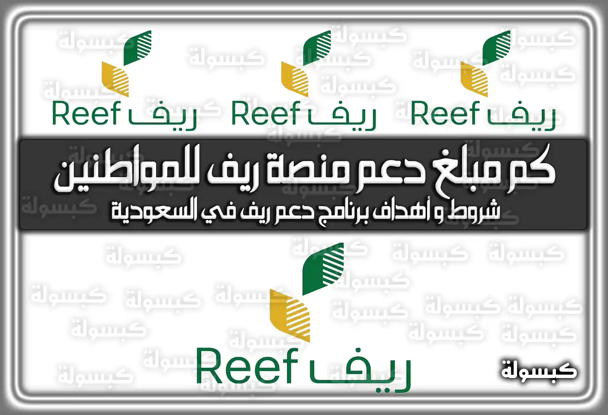 كم مبلغ دعم منصة ريف للمواطنين .. شروط وَ أهداف برنامج دعم ريف في السعودية