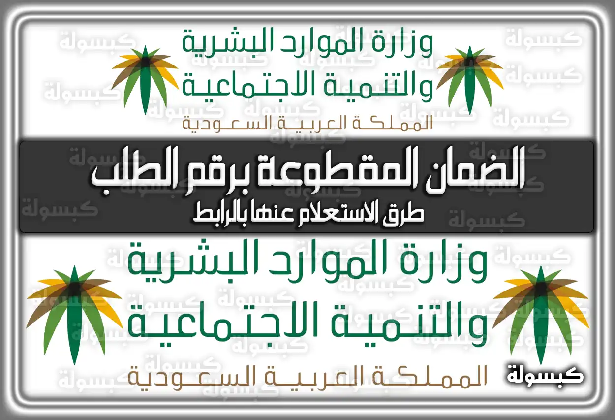 الضمان الاجتماعي المقطوعة برقم الطلب.. طرق الاستعلام عنها بالرابط