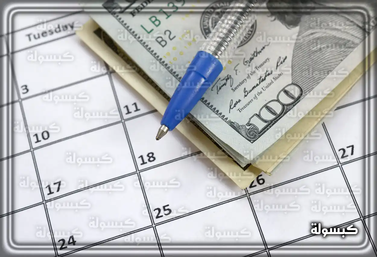 صورة توضيحية لنموذج كشف استلام الرواتب الشهرية