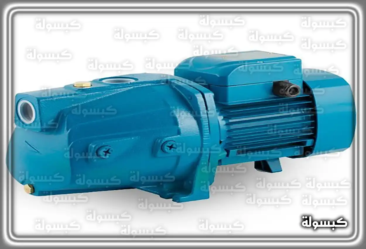 صورة مقربة لموتور مياه كالبيدا الأصلي