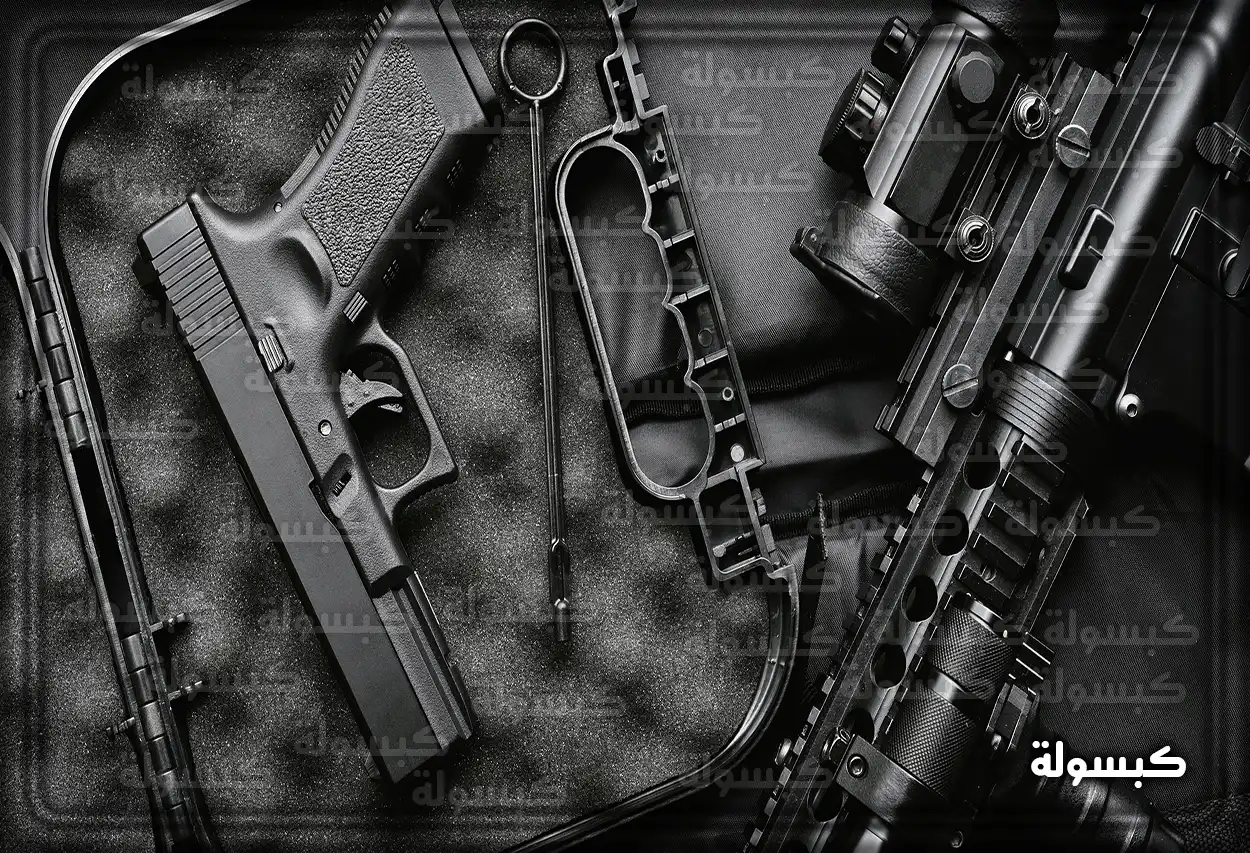 مجموعة من أسلحة الصيد والمسدسات الشخصية