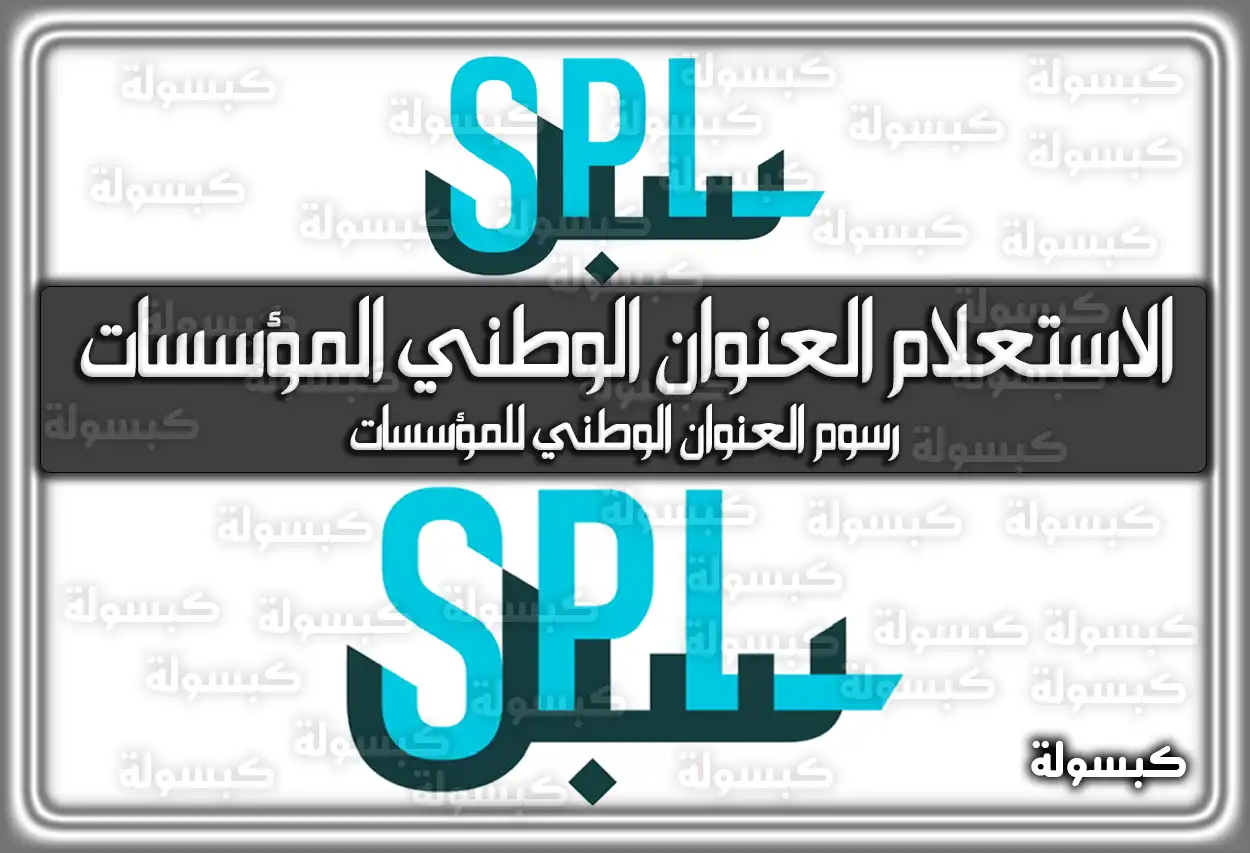 الاستعلام العنوان الوطني المؤسسات سبل