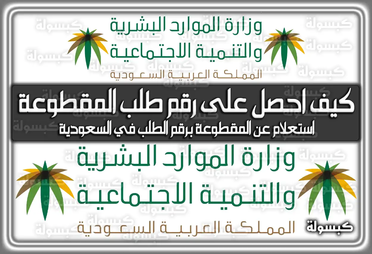 كيف احصل على رقم طلب المقطوعة .. استعلام عن المقطوعة برقم الطلب في السعودية