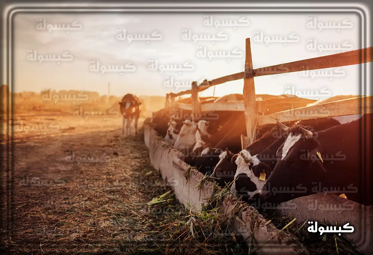 شاشة الاستعلام عن دعم المواشي في بوابة الوزارة