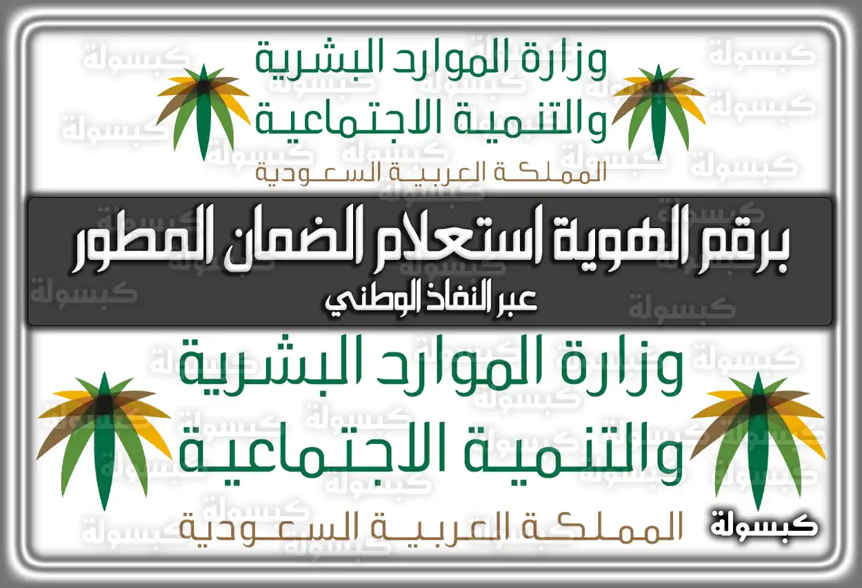 برقم الهوية استعلام الضمان المطور عبر النفاذ الوطني