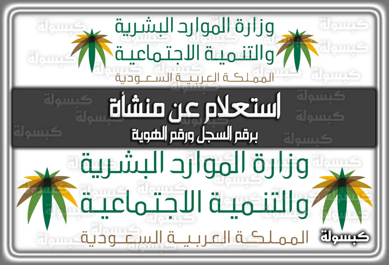 تعرف على خطوات استعلام عن منشأة برقم السجل ورقم الهوية