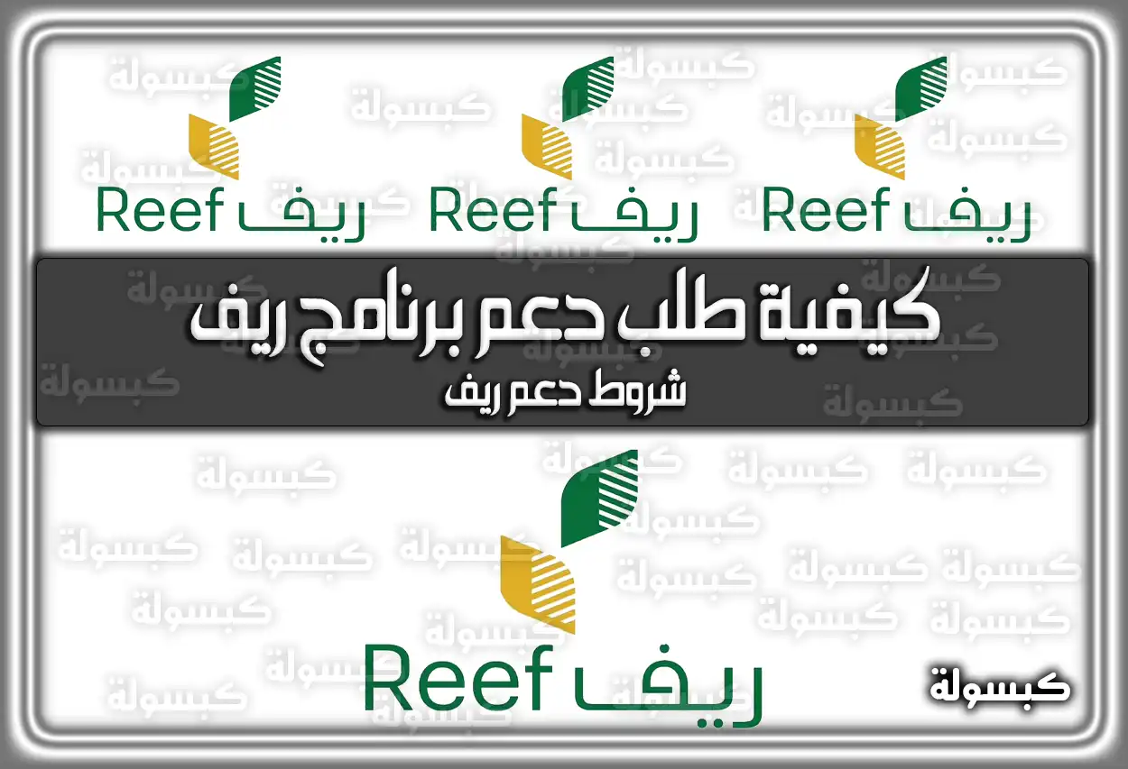كيفية طلب دعم برنامج ريف في السعودية