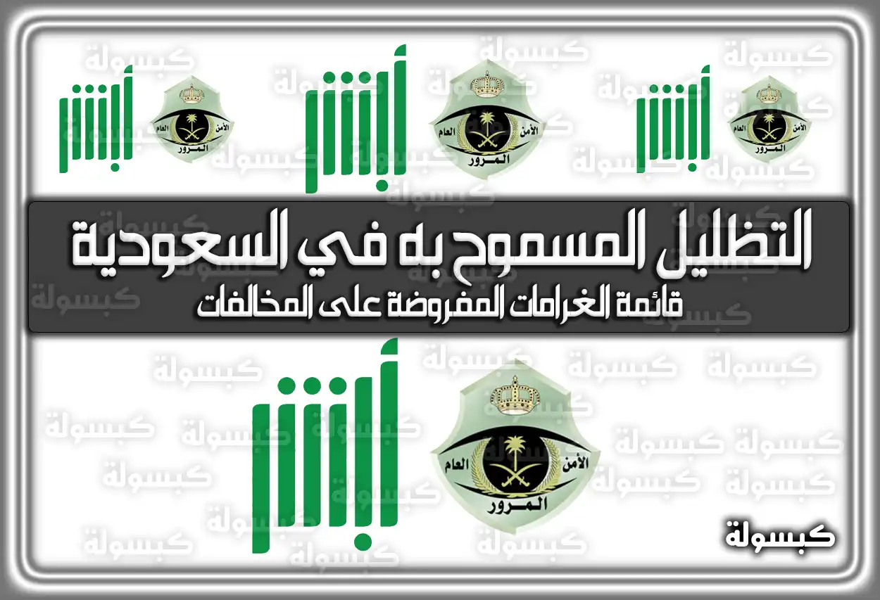 ما هو التظليل المسموح به في السعودية 2026.. قائمة الغرامات المفروضة على المخالفات