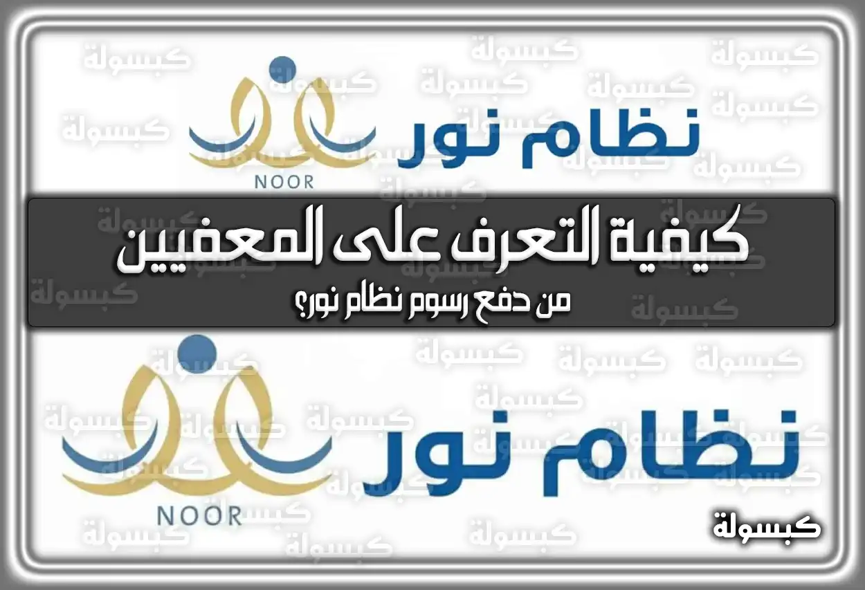 كيفية التعرف على المعفيين من دفع رسوم نظام نور؟