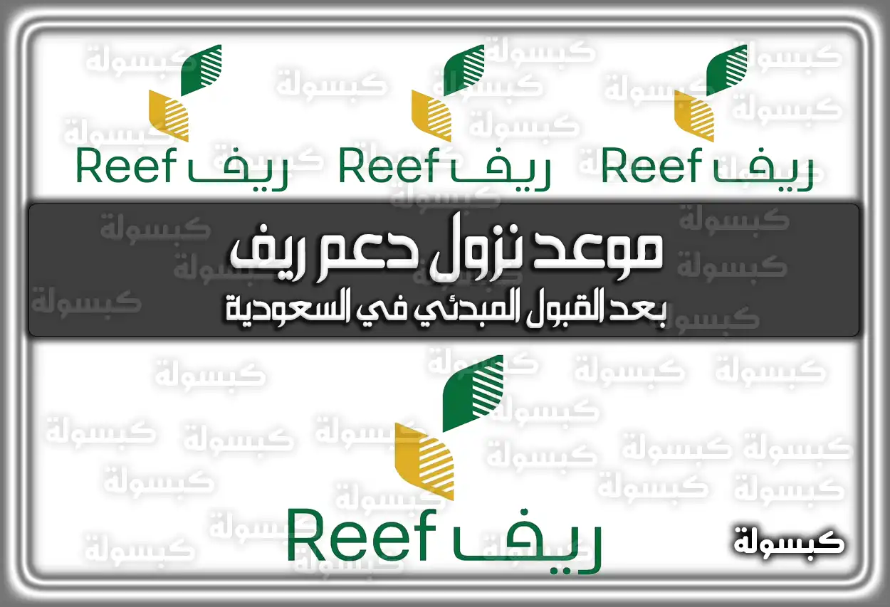 موعد نزول دعم ريف بعد القبول المبدئي في السعودية