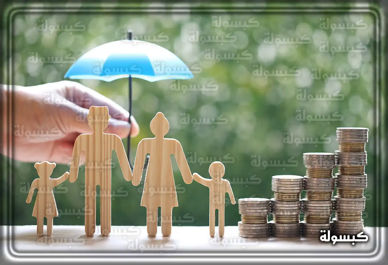 منصة الدعم والحماية الاجتماعية للضمان المطور