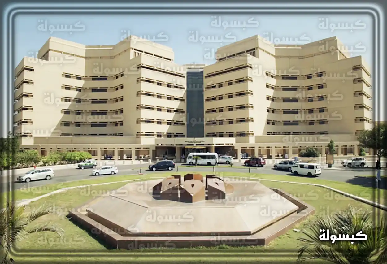 مجموعة من الخدمات الإلكترونية المتوفرة في جامعة الملك عبدالعزيز