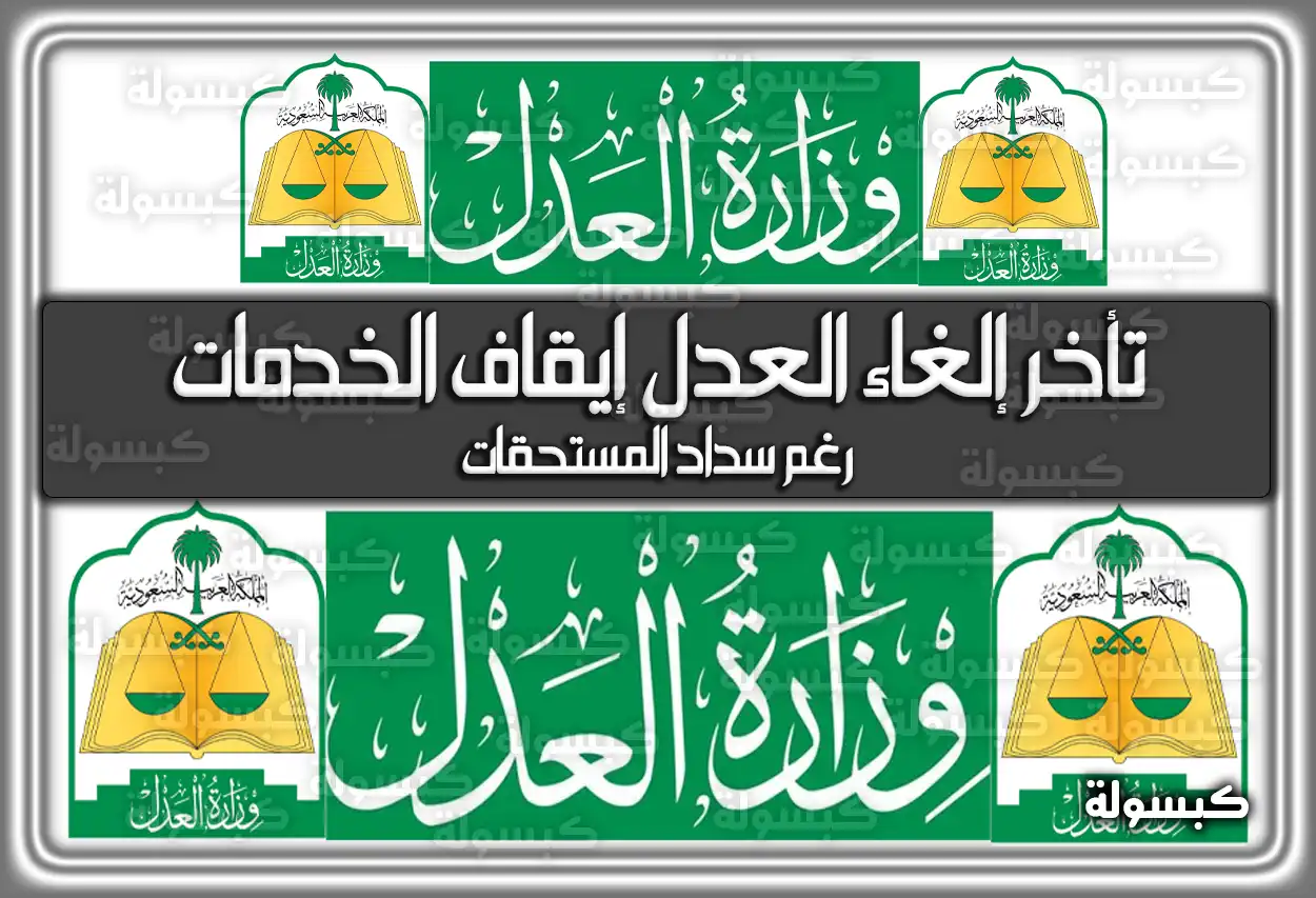 تأخر إلغاء إيقاف الخدمات رغم سداد المستحقات