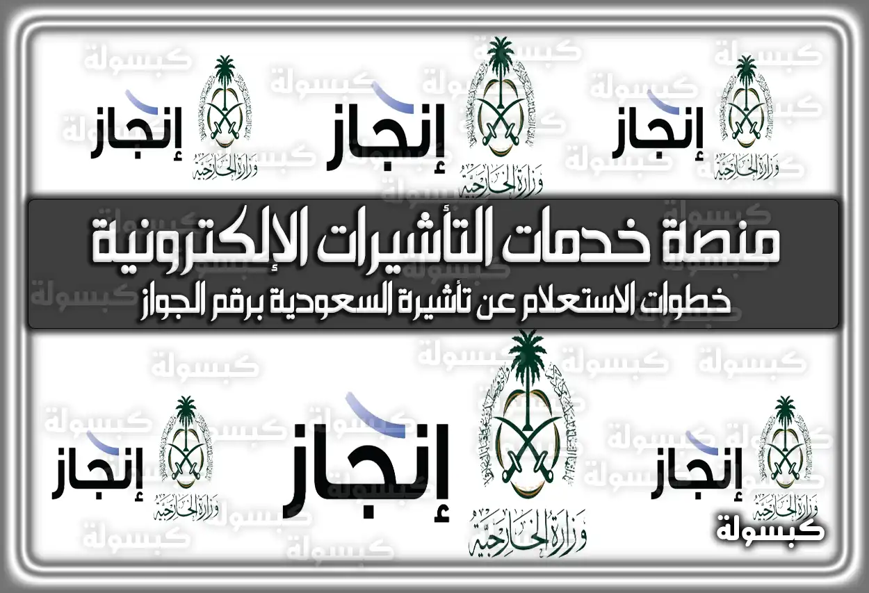 منصة خدمات التأشيرات الإلكترونية إنجاز تسجيل الدخول