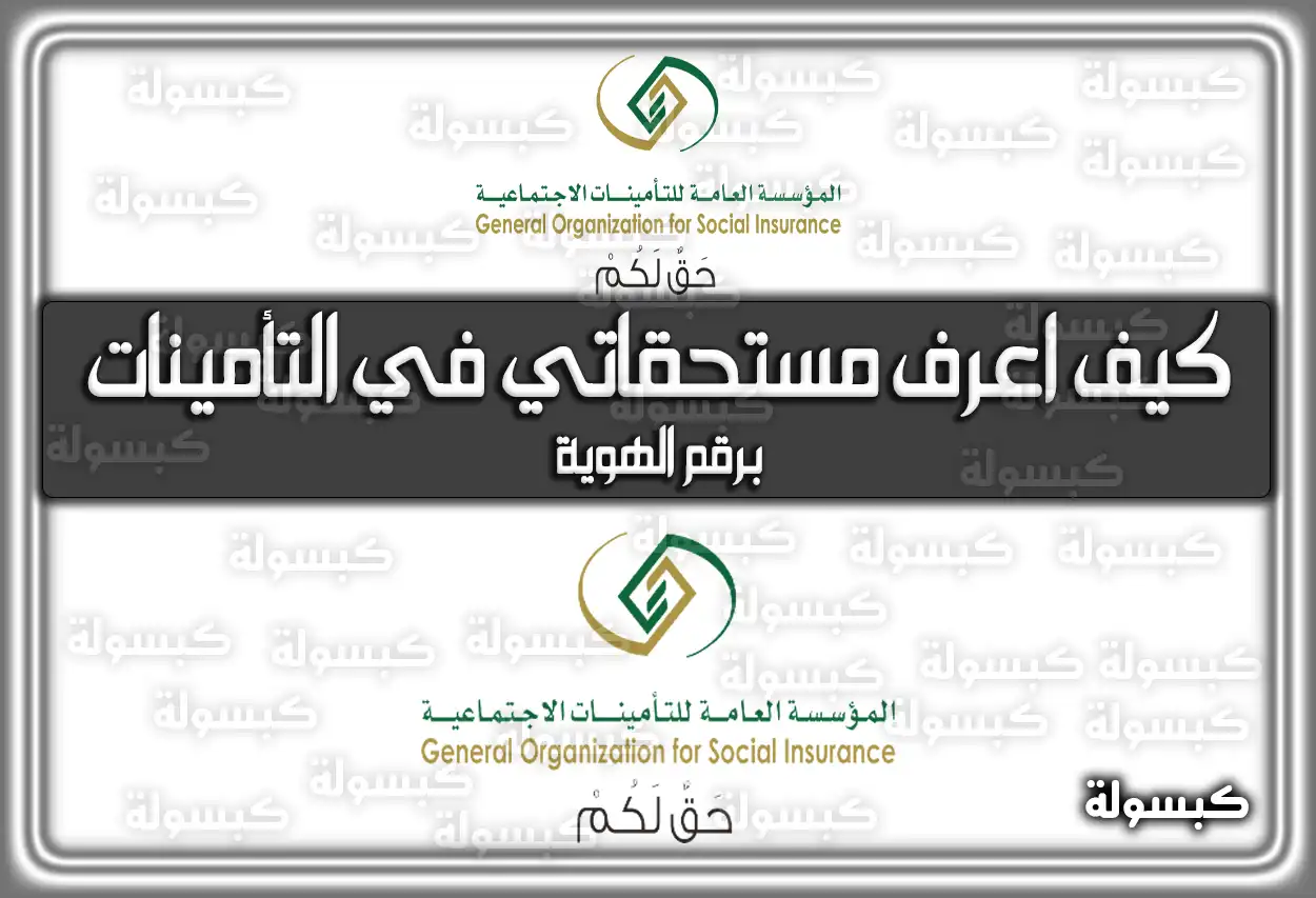 كيف اعرف مستحقاتي في التأمينات 1447 برقم الهوية؟