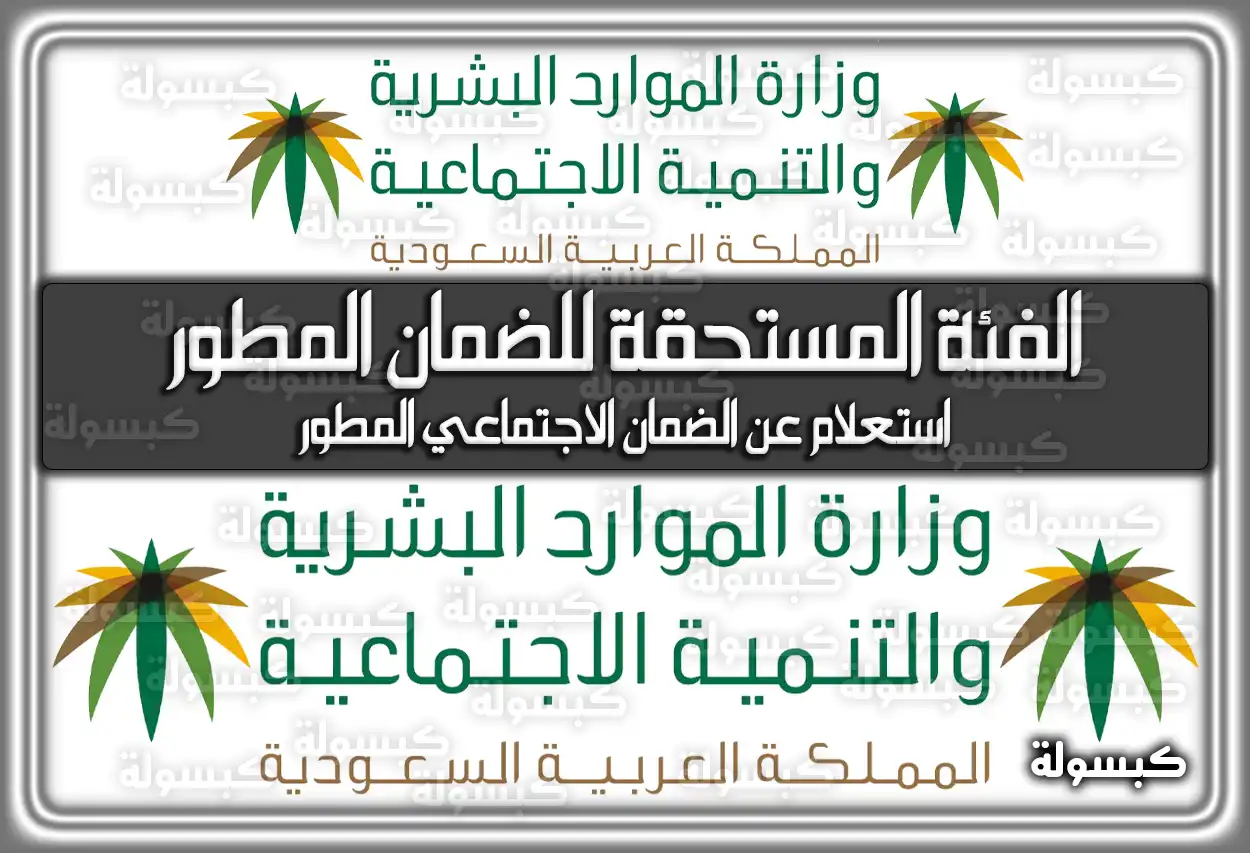 الفئة المستحقة للضمان المطور